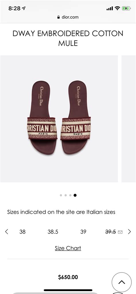 dior sandal sizing